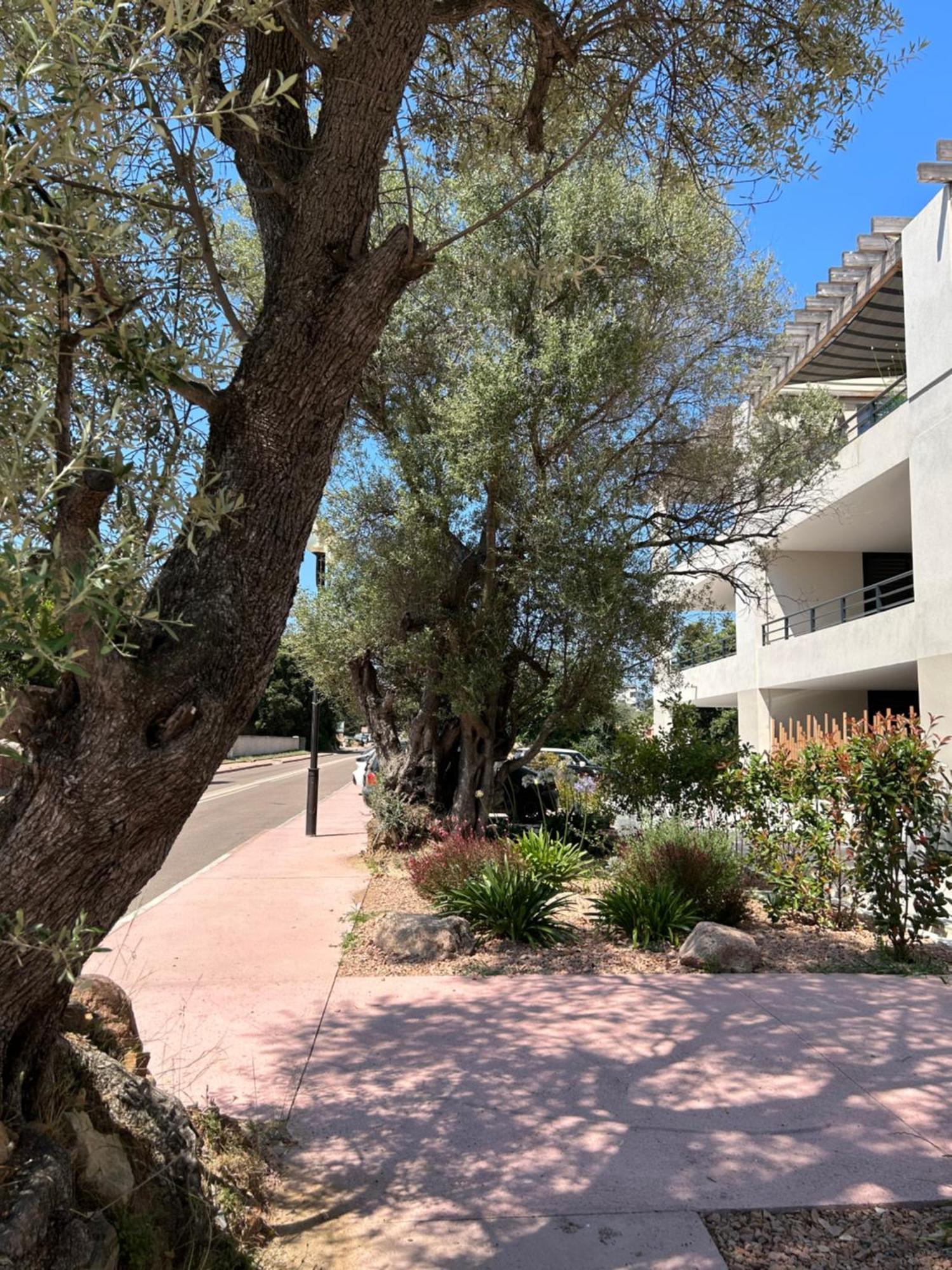Sognu Di Serena - Superbe Appartement Avec Parking Gratuit Sur Place ปอร์โต-เวคคีโอ ภายนอก รูปภาพ